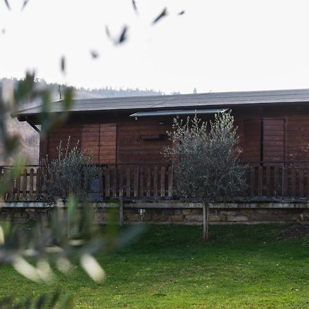 Agriturismo Ponte Di Riocchio Губио Екстериор снимка