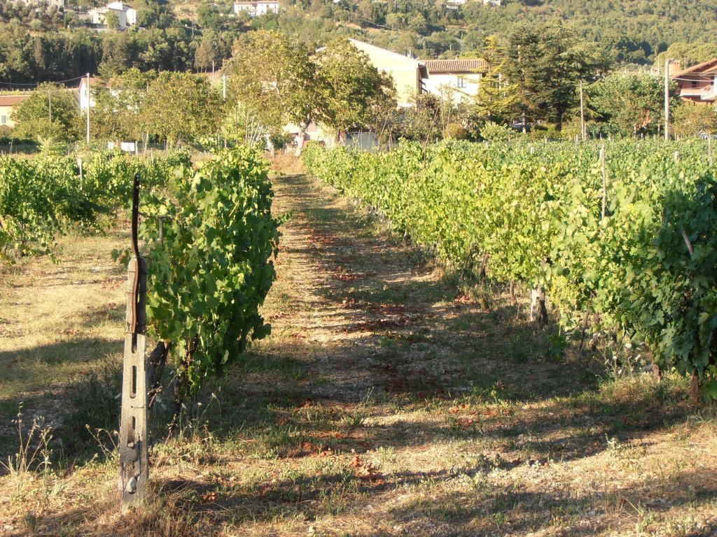 Agriturismo Ponte Di Riocchio Губио Екстериор снимка